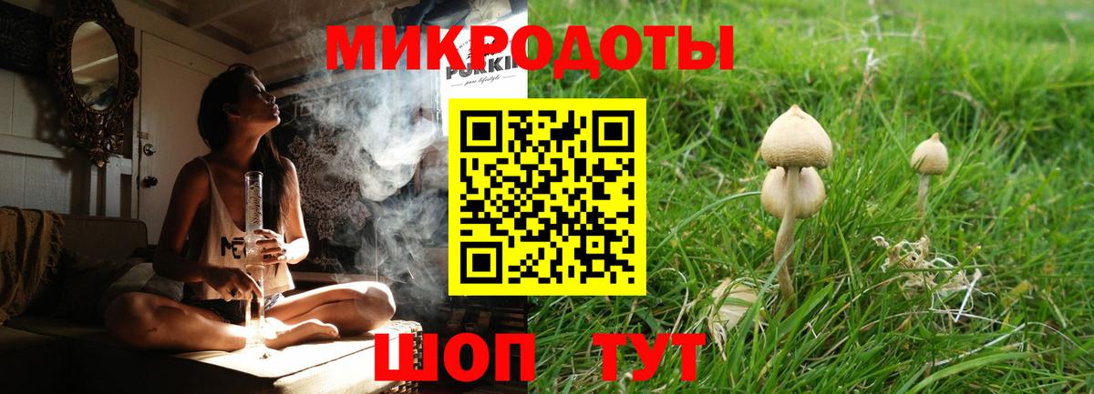 Галлюциногенные грибы прущие грибы  Вход с VPN  Камышлов 